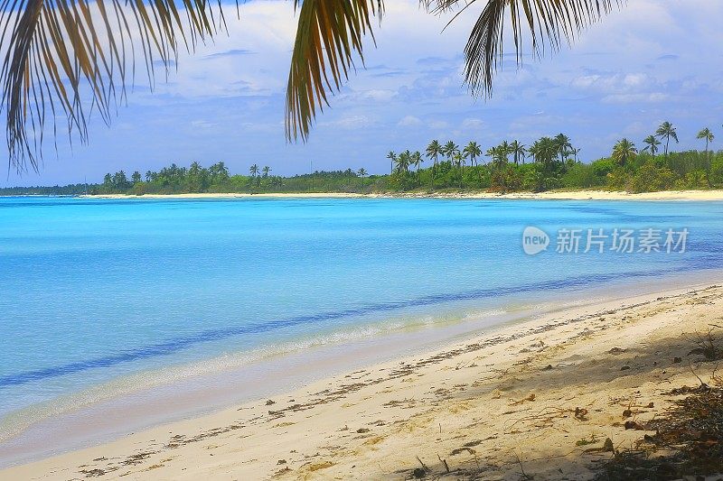 热带天堂:沙漠荒芜的绿松石海滩，Saona岛，Punta Cana -多米尼加共和国